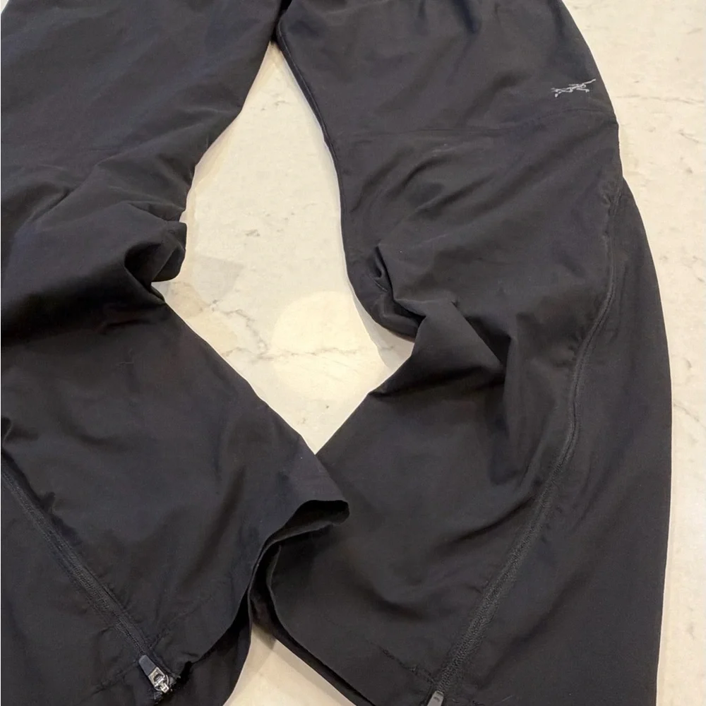 Arc’teryx cargo‎ pants Size Large